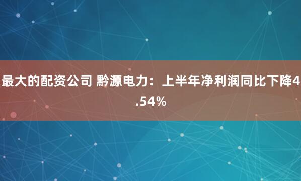 最大的配资公司 黔源电力：上半年净利润同比下降4.54%