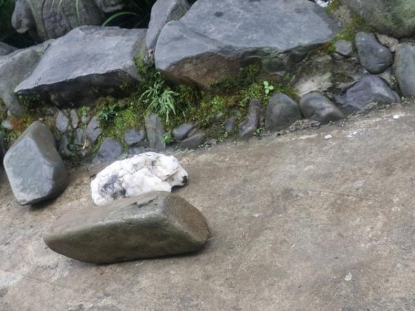 正规股票配资app 攒股札记: 时间复利的生存哲学