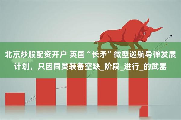 北京炒股配资开户 英国“长矛”微型巡航导弹发展计划，只因同类装备空缺_阶段_进行_的武器