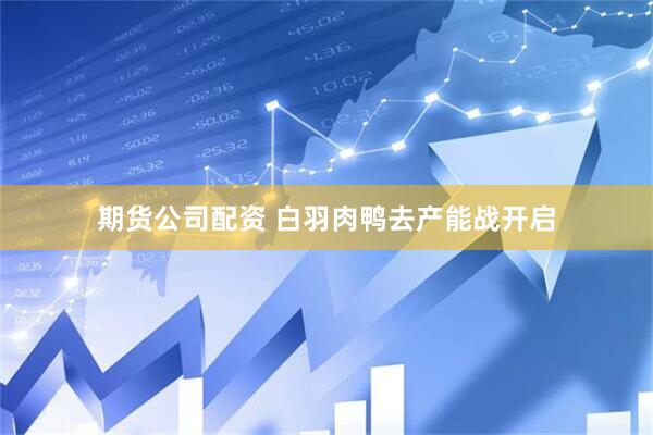 期货公司配资 白羽肉鸭去产能战开启